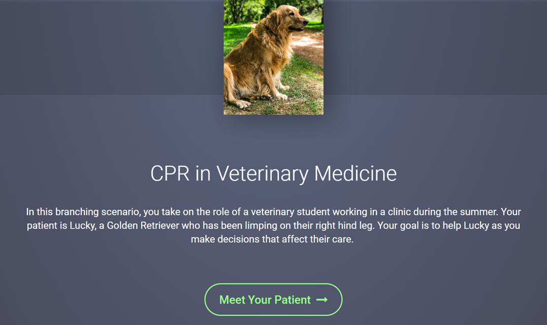 Creating a CPR in Veterinary Medicine Scenario in H5P