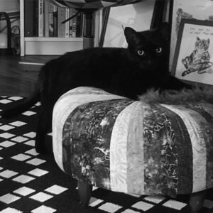 jiji-bw